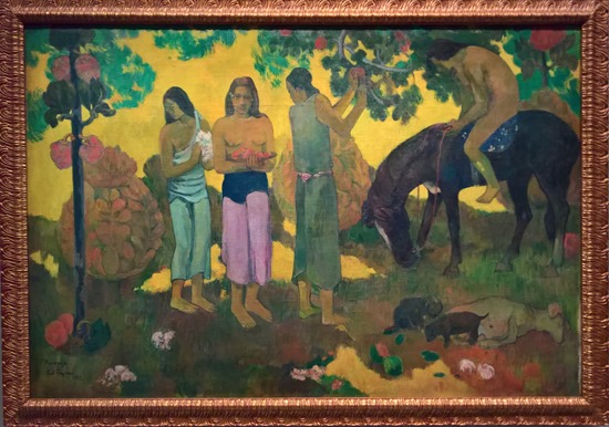 WP_20170207_12_54_06_Pro