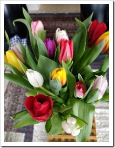 IMG_20190101_104244_Bokeh